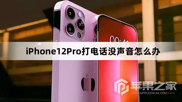 iPhone12Pro打电话没声音怎么办_iPhone12Pro打电话没声音解决方法  第1张