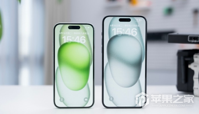 iPhone15Plus连上wifi没有网络怎么办_iPhone15Plus连上wifi没有网络如何解决