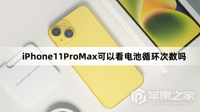 iPhone11ProMx可以看电池循环次数吗_iPhone11ProMx怎么看电池循环次数  第1张