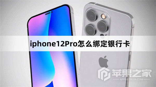 iphone12Pro怎么绑定银行卡_iphone12Pro绑定银行卡方法  第1张