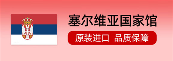 塞尔维亚总理会见 哈萨克斯坦总理赞扬 一带一路上的“巴铁”国家在华开拓电商市场 