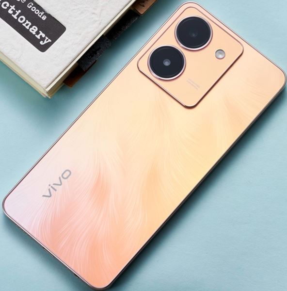 vivoy100和vivoy78+哪款好 vivoy100和vivoy78+对比介绍