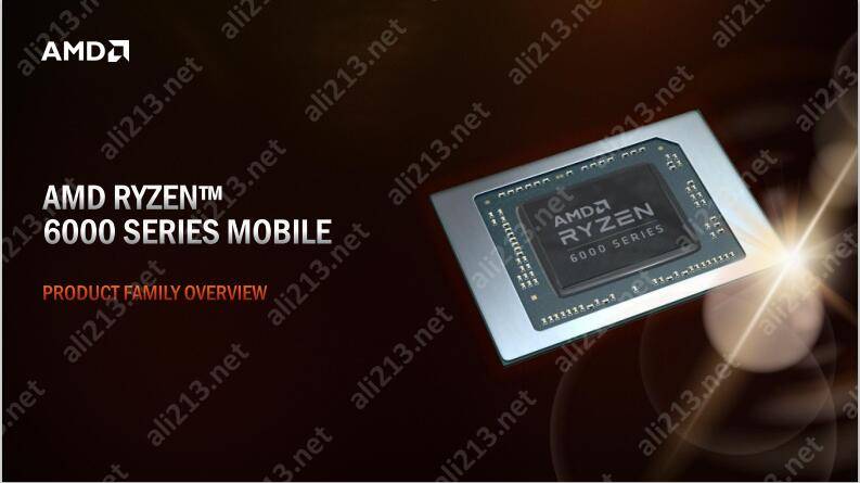 AMD EPYC™ 8324PN EPYC&trade; 8324PN：企业级数据处理利器，多核性能超强  第5张