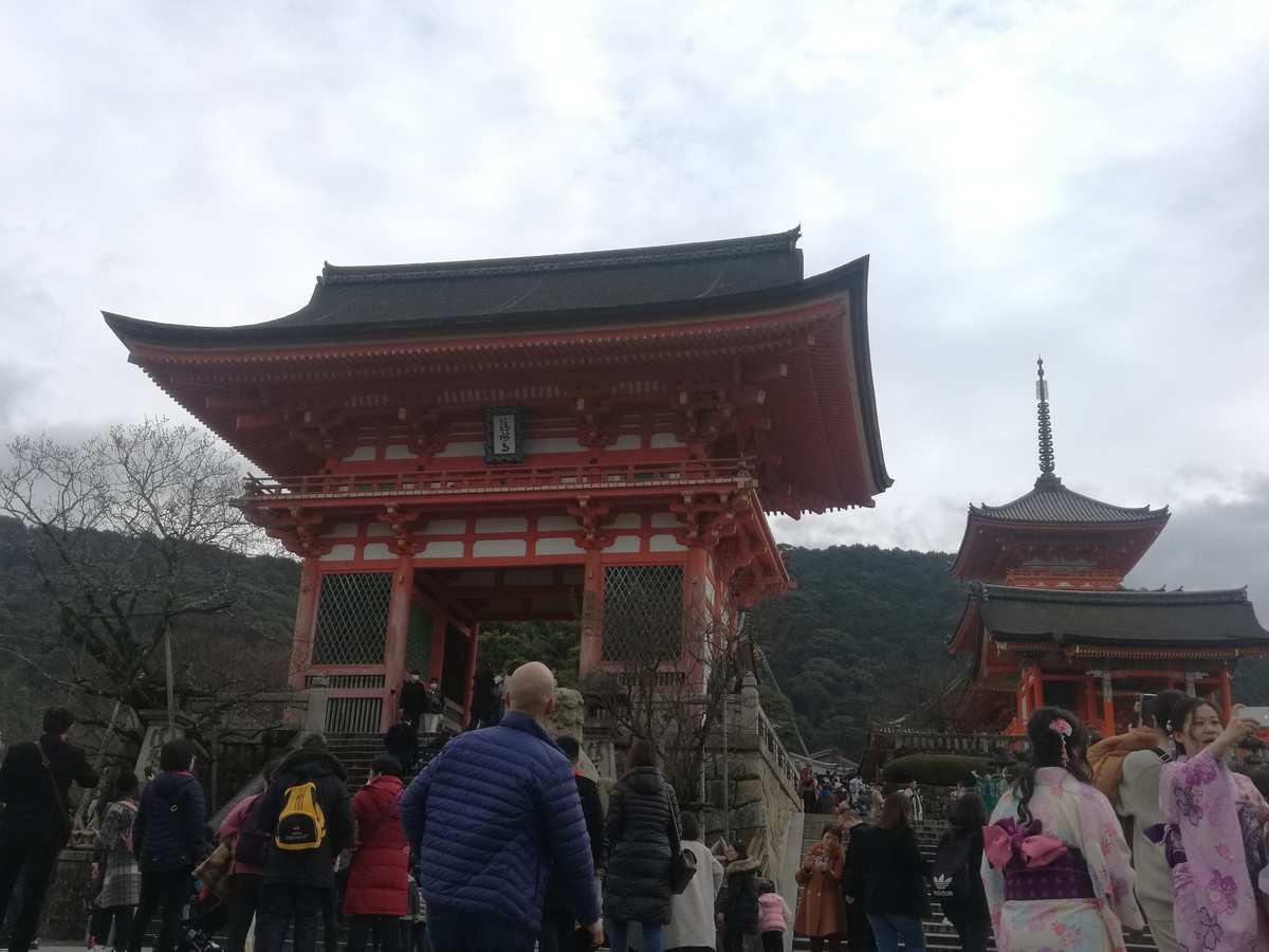 日本和风物语：东京巷弄迷失VS京都古街漫步  第6张