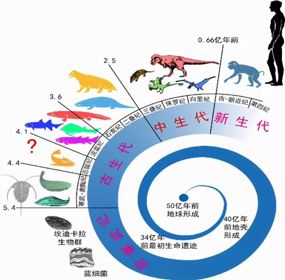 惊人研究揭秘：诺亚传说真相大揭秘  第2张