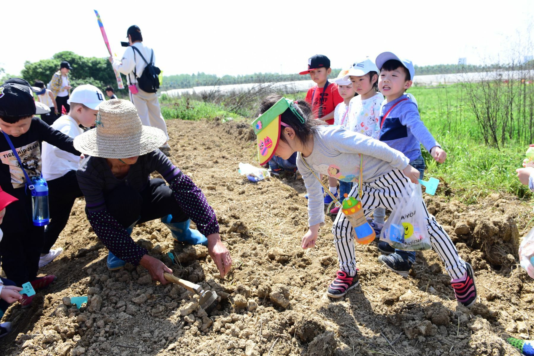 【农场主日记】种植乐趣无限，与好友共享农场盛宴  第4张