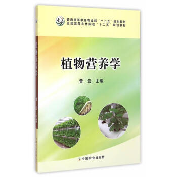 传统vs现代：草药学攻略大对比，你选哪个？