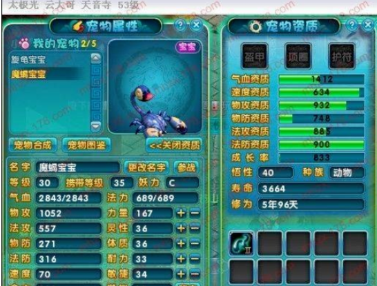 宠物化生大揭秘！成长值提升技巧全解析  第5张