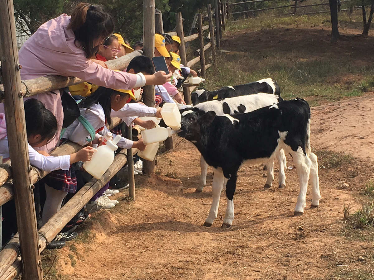 城市中心农场牧场餐厅，体验农业乐趣，亲近动物乐趣，尽享美食盛宴