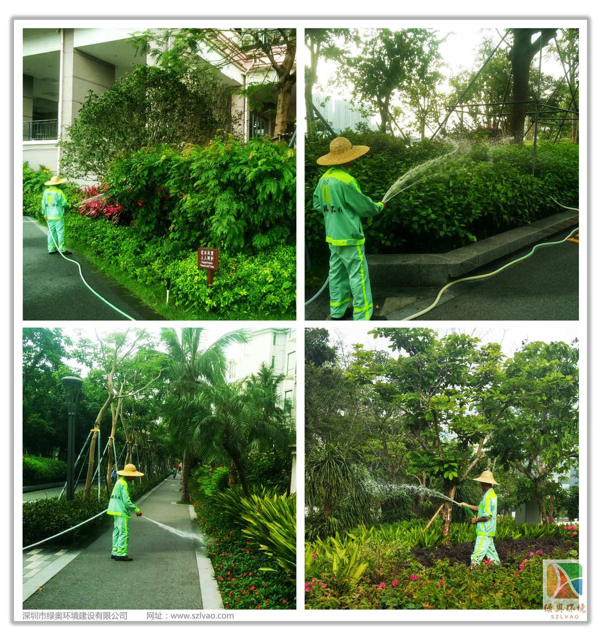 肥料VS浇水：洛克王国松土艾斯种植大揭秘