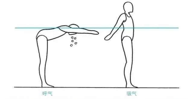 3个秘技助你成为游泳高手