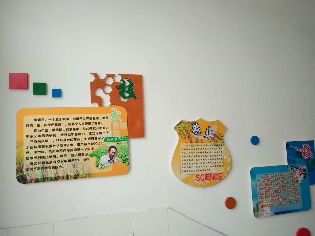 神女控 攻略 神女控文化揭秘：内在魅力胜过外表美  第5张