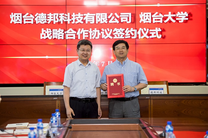 德邦总管攻略大揭秘，团队协作才是胜利之道  第3张