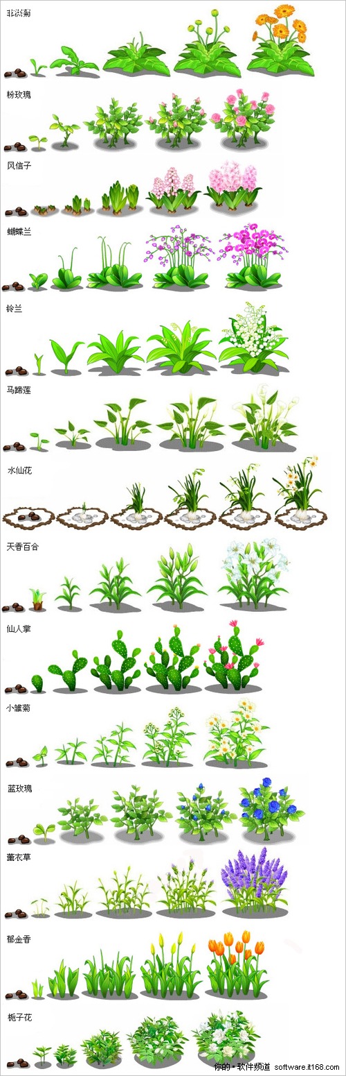 qq农场赚钱秘籍大揭秘，种植这些作物轻松赚大钱