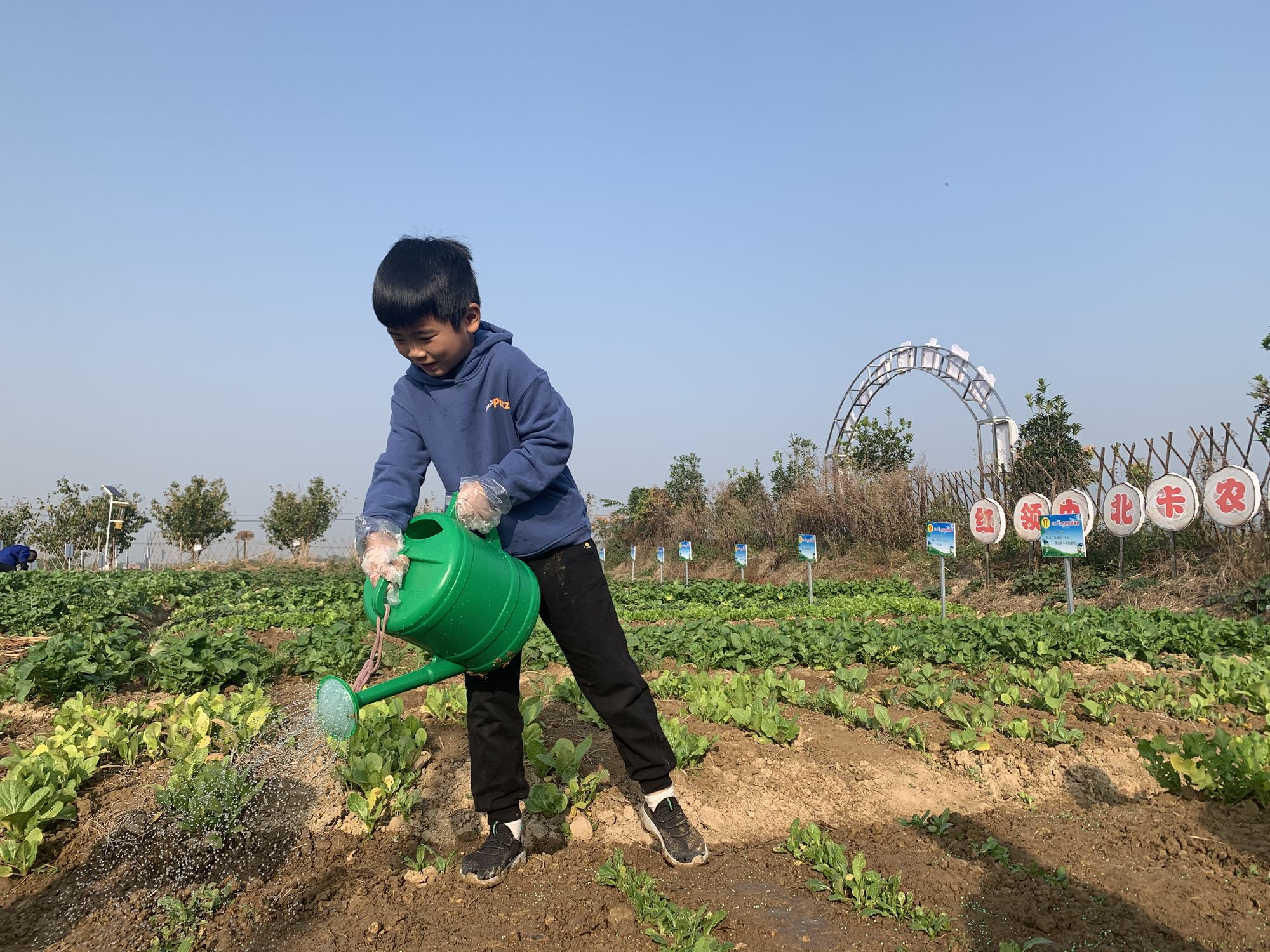 玩转qq农场，打造梦想乡村生活