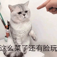 如何用菜菜qq表情包让你的聊天更有趣？快来get下载和使用技巧  第1张