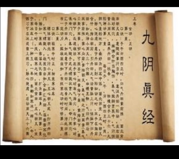 九阴真经修炼秘籍，掌门传授经验  第5张