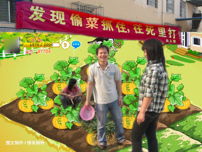 qq农场大师教你：偷菜绝招，轻松成功