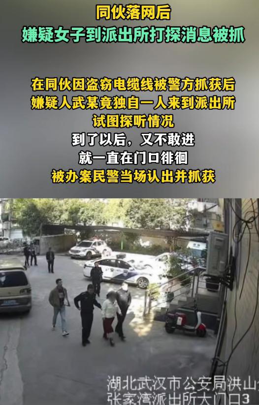 盗贼三步曲：无声潜行、迅速应对、精准打击  第3张