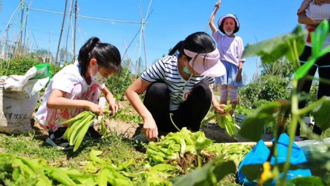 三步变身：从小白到农场牧场达人