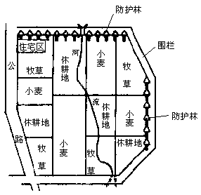 qq农场：打开空白地块，惊喜连连  第1张