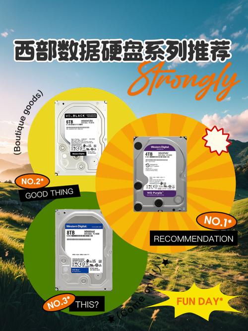 电脑硬盘怎么选？西部数据蓝盘了解一下，超实用