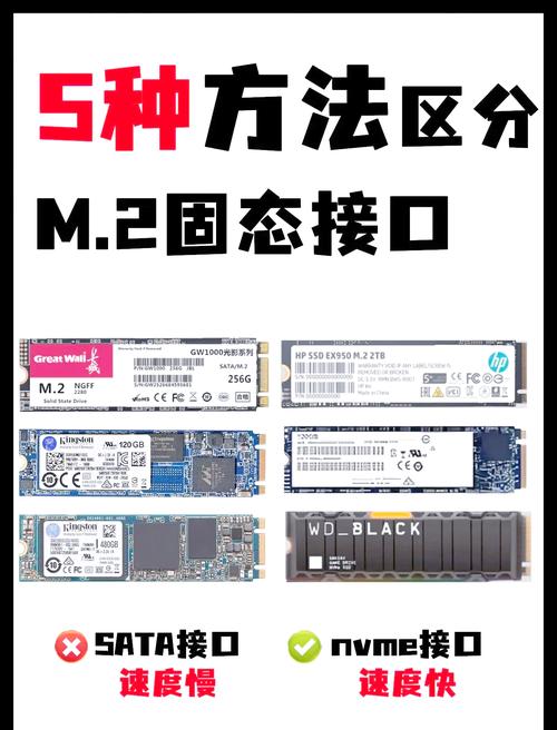 挑选固态硬盘必看！五种常见接口类型及特性介绍