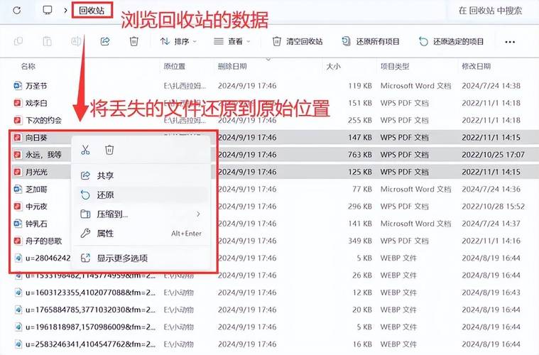 数据丢失不用怕！固态硬盘恢复软件功能全操作易，你了解吗？  第8张