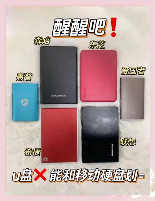 移动硬盘与U盘哪个更适合你？多方面比较为你揭晓答案