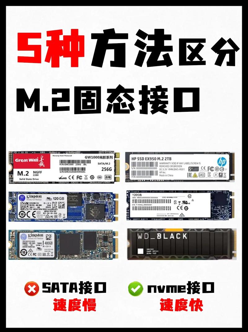 电脑存储系统中固态硬盘接口很关键，SATA接口你了解多少？  第5张