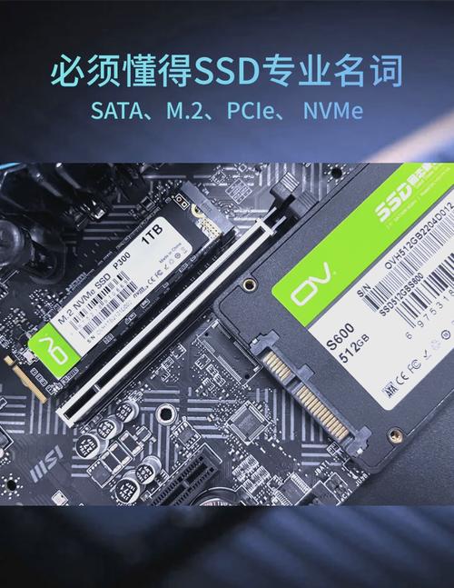 SSD硬盘接口种类全解析，SATA接口的特点与适用场景？