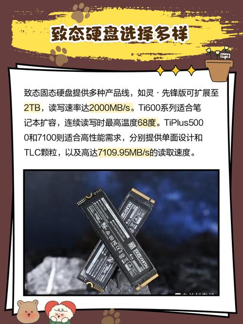 致态NE500 120克固态硬盘怎么样？性能价格等因素全面评估  第10张