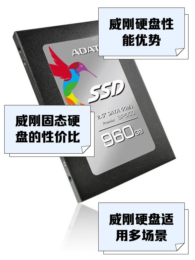 威刚硬盘受关注，品牌历史、地位及实际表现深度解析？  第9张
