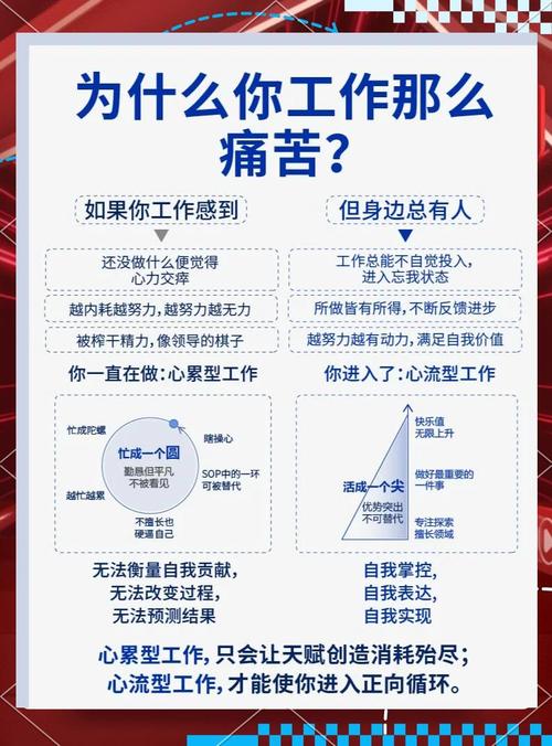 深入了解上海硬盘人：工作奋斗现状与面临的挑战  第3张