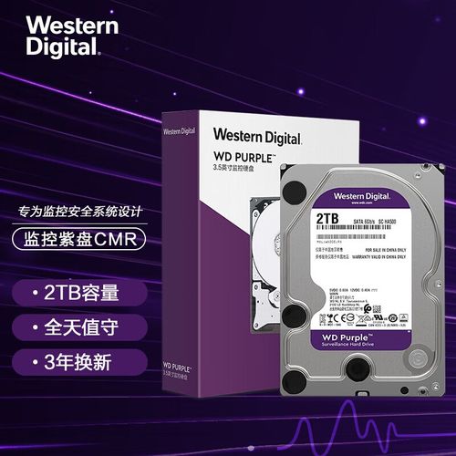 西部数据WD紫硬盘：安防监控领域的可靠存储之选  第5张