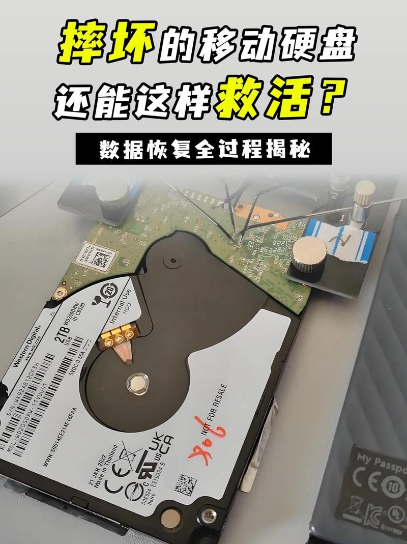 抗摔型移动硬盘为何受欢迎？深入剖析其抗摔原理与优势  第2张