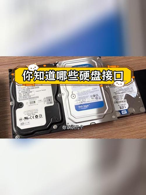硬盘转换接口种类多应用场景不同，这些关键点你得留意  第5张