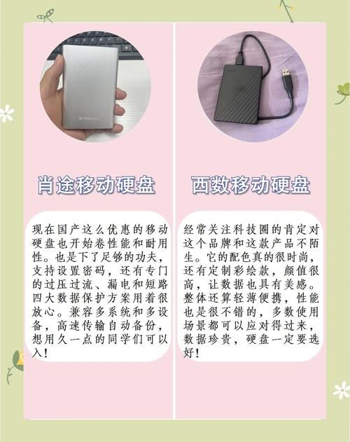 移动硬盘选购攻略：多因素考量，容量适配需求与价格分析  第10张