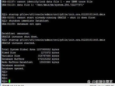 Linux系统中数据恢复技术至关重要，详解数据丢失原因  第7张