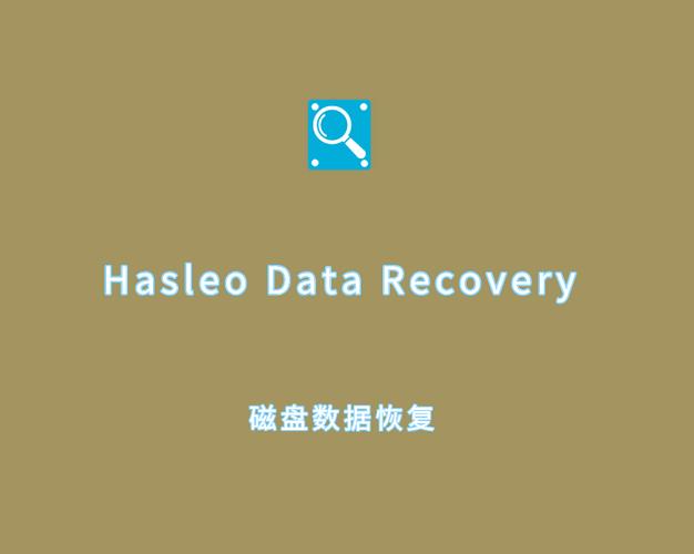 绿色版超级硬盘数据恢复软件，无需安装，数据安全必备  第9张