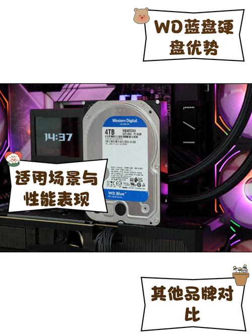 硬盘批发必知：WD产品细节、优势及相关工作全解析