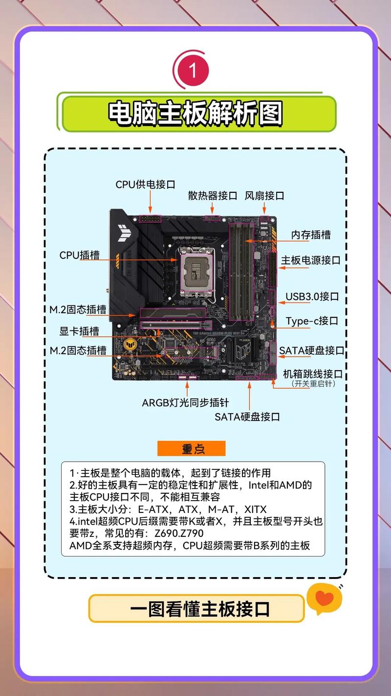深入解析主机硬盘插槽：连接桥梁及多样类型的关键作用  第5张
