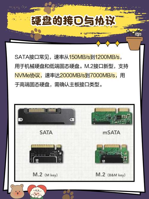 升级组装机双硬盘的优势与挑战，硬盘选择要点需知晓  第10张