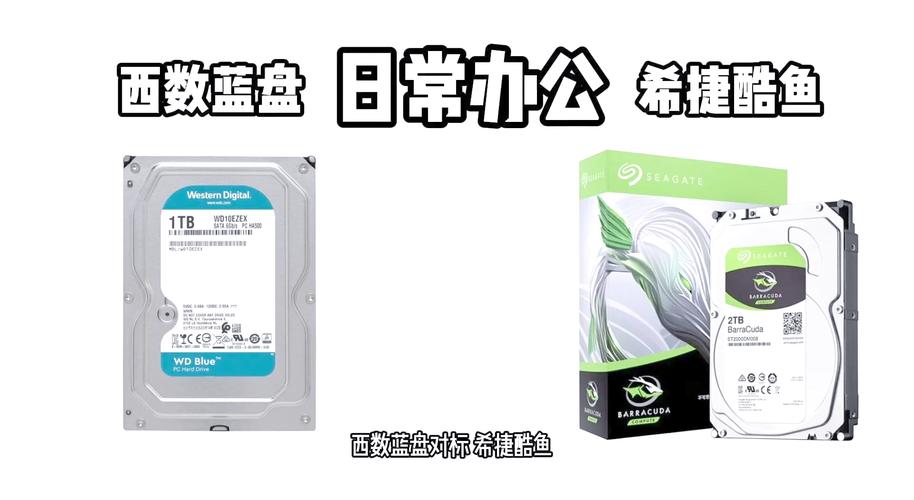 1T硬盘容量大揭秘！满足日常工作休闲存储需求  第3张