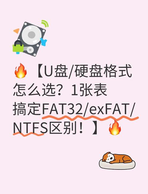 u盘 硬盘 U盘与硬盘在日常使用中很普遍，如何选合适存储设备？  第7张