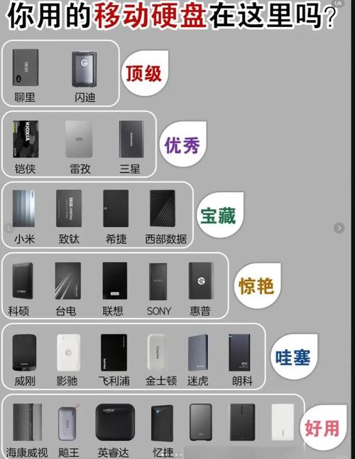 移动硬盘品牌众多性能各异，容量对比及选购考量全解析  第10张