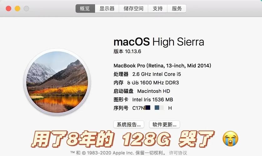 深入剖析Mac电脑闪存与固态硬盘：特性、优势及应用场景  第7张