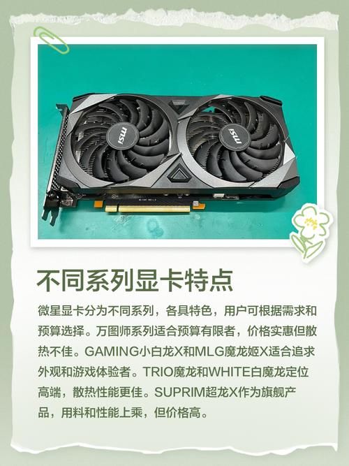 微星9800GTX在显卡领域地位重要，带你深入了解其产品背景  第4张