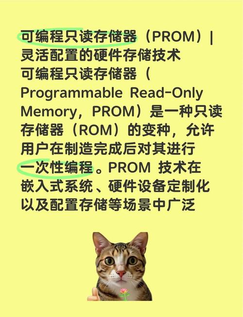 深入探讨只读存储器ROM：数据稳定及在电子设备中的重要职责？  第8张