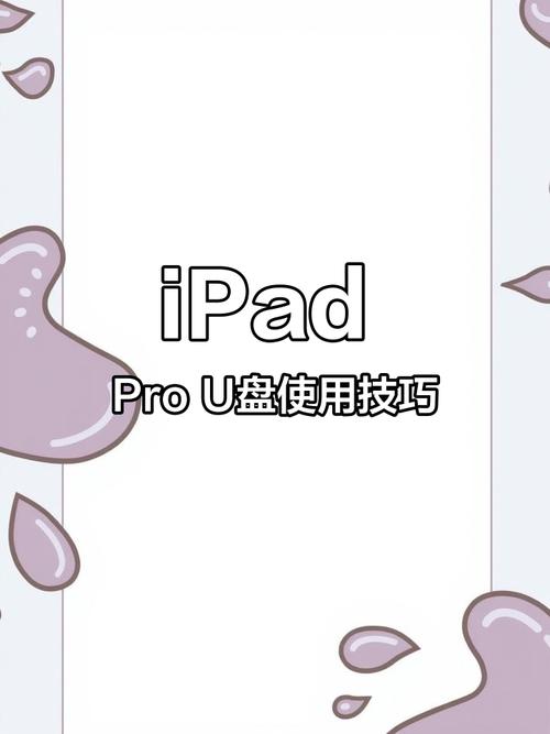 iPad读取无线移动硬盘功能全解析，含操作步骤及适配情况  第3张